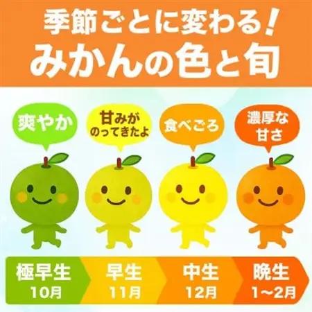 温州みかん 2S～2L 約3kg(益城町)【1726317】