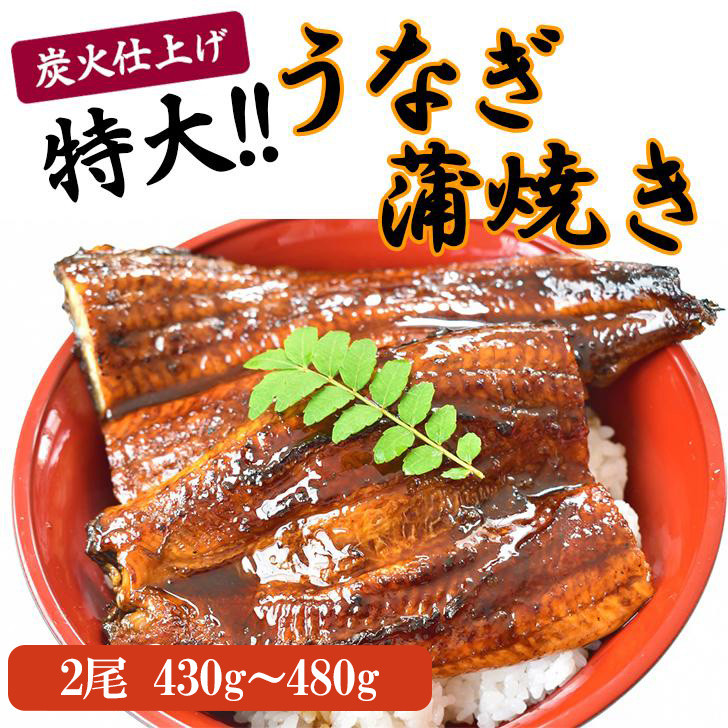 うなぎ蒲焼き2尾入り 480g（蒲焼たれ4袋 山椒付き）【KS5】 303446_BA1014