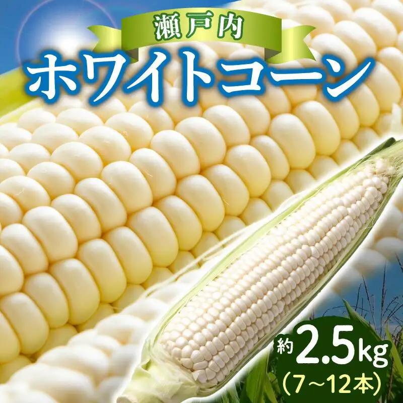 上品な甘さ 瀬戸内 ホワイトコーン 約2.5kg【2027-6月中旬～2027-7月中旬配送】| コーン