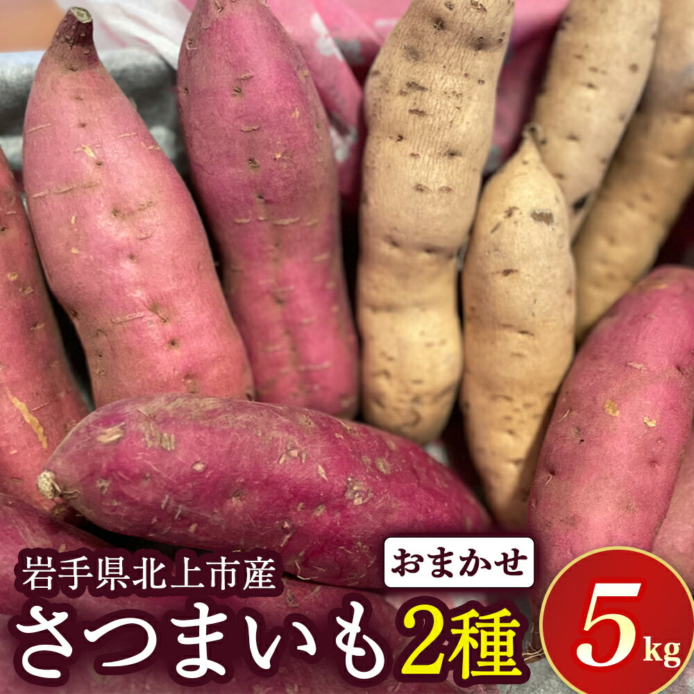 【ふるさと納税】【予約受付 2025年産 】 野菜ソムリエ 齋藤セレクト「新」秋セット さつまいも 2種 (約 5kg ) セット 国産 岩手 サツマイモ 芋 野菜 セット シルクスイート パープルスイート 紅あずま 紅はるか 安納芋 岩手県 北上市 C0308 齋藤 智仁 ※令和7年10月中旬発送