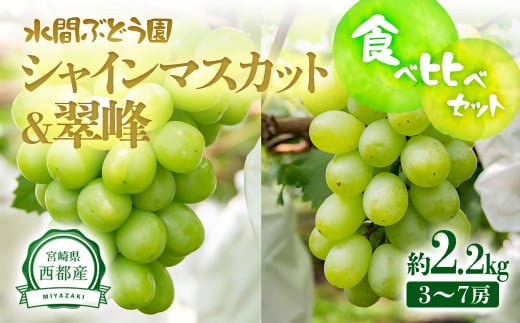 【先行予約】シャインマスカット＆翠峰 2.2kg 3～7房 食べ比べセット 西都産完熟ぶどう 水間ぶどう園＜16-5a＞
