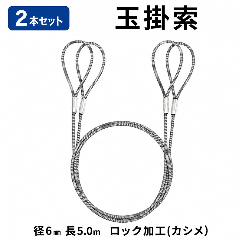 【ふるさと納税】玉掛索 径6mm 長5.0m ロック加工(カシメ）2本セット 両アイ JIS規格 鉛止め 玉掛け 台付け ワイヤーロープ クレーン スリング 大阪 大阪府 岸和田市