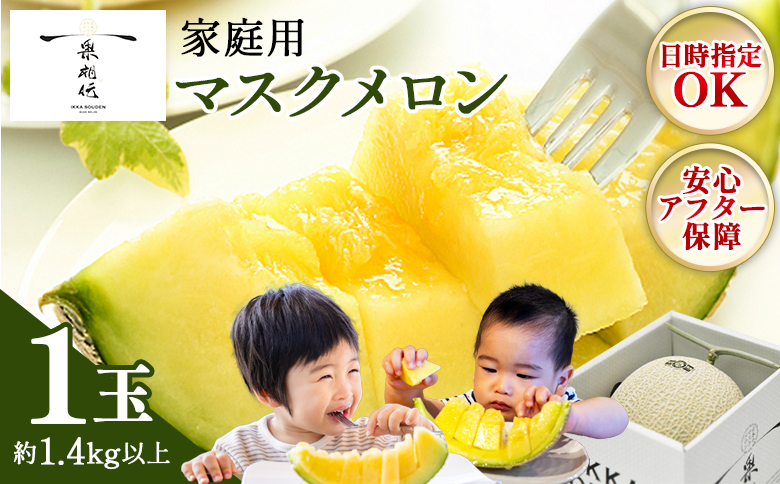 一果相伝マスクメロン家庭用 1玉入り フルーツ メロン 果物 デザート tn-0024