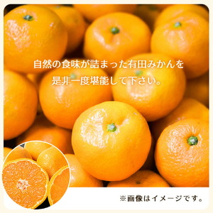 BT6011n_【2025年先行予約】和歌山県有田産 みかん 5kg L~Sサイズ(おまかせ)