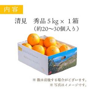 ミヤモトオレンジガーデンの「清見5kg」【D25-126】【1268370】