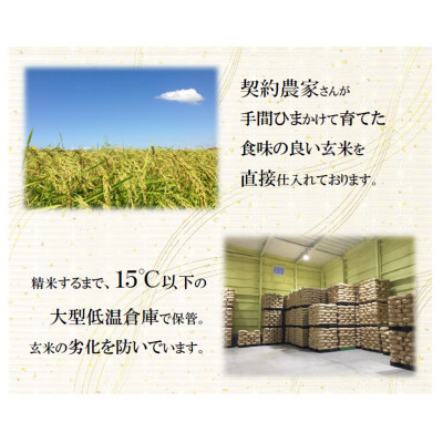【令和6年産・新米】栃木県産とちぎの星(精米)5kg×1袋 | お米 白米 一等米 送料無料 栃木県 宇都宮市 ※離島への配送不可