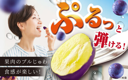 【2025年先行予約】【8月初旬頃から順次発送】溢れる果汁がたまらない！巨峰 2房 約700g 島根県雲南市/池田ぶどう農園　[AIAA003]