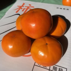 【2024年先行受付】富有柿Lサイズ約16玉(茨城県共通返礼品　石岡市)