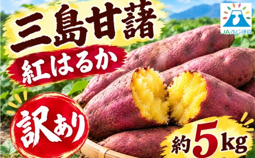 【予約受付中】 訳あり 三島甘藷 約5kg 紅はるか さつまいも 甘藷 芋 野菜 農産物 新鮮 産地直送 みしまるかん JA  国産 箱根西麓三島野菜 静岡県 三島市