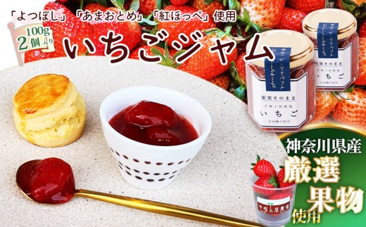 いちごジャム100g×2個 ／ 苺 イチゴ 苺ジャム イチゴジャム ストロベリー 人気 加工食品 手作り 白砂糖不使用 ペクチン不使用 フルーツスプレッド コンフィチュール トッピング 神奈川県産果物 神奈川県 No.083