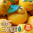 【ふるさと納税】田村の三宝柑（葉付き）秀品 約10kg 和歌山県有田産【ミカン 蜜柑 春みかん 柑橘】