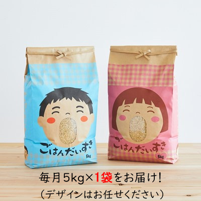 
            2023年6月発送開始『定期便』山形県産　はえぬき　玄米　5kg(5kg×1袋)全6回【5087207】
          