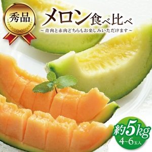 SB0910　美味しいメロンの食べ比べ 「秀品 青肉メロン＆赤肉メロン」　約5kg(4～6玉入)
