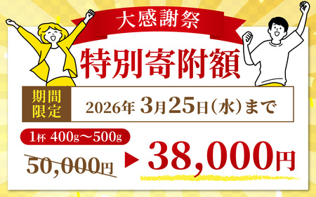 【先行予約】選べる！美味しさ直送【成前特選】 越前がに（400g～500g）×1杯【11月～3月発送】  [D-028042] / 福井県 福井 オス 雄 ズワイガニ ボイル 冷蔵 越前ガニ 越前がに