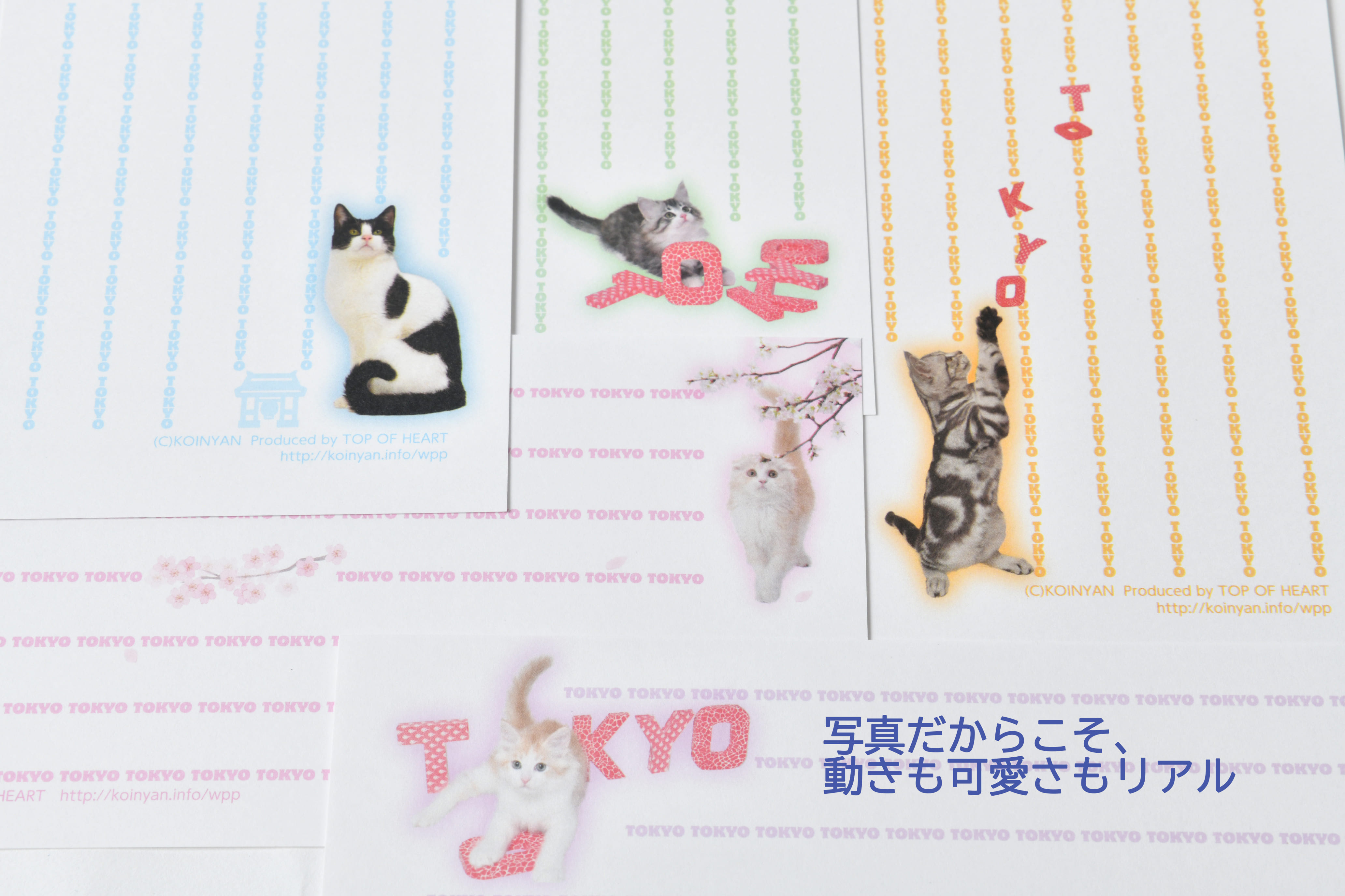 猫写真の一筆箋「にゃん筆箋」東京キャット5種セット