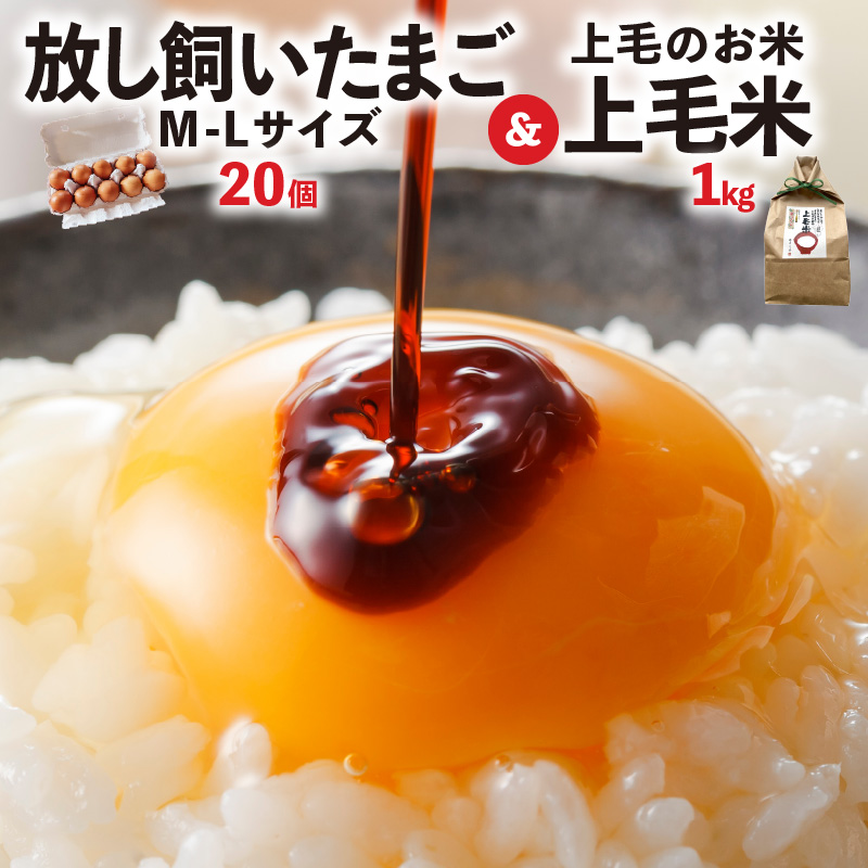 放し飼いたまご「かぐやひめ」20個＆米1kg【福岡上毛町産】　C01906