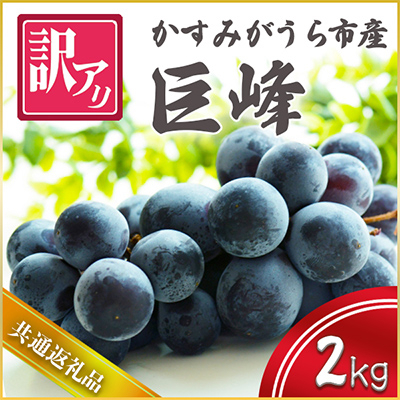 
            ＜2025年10月より順次発送予定＞訳あり巨峰　2kg (県内共通返礼品:かすみがうら市産) (BR072)
          
