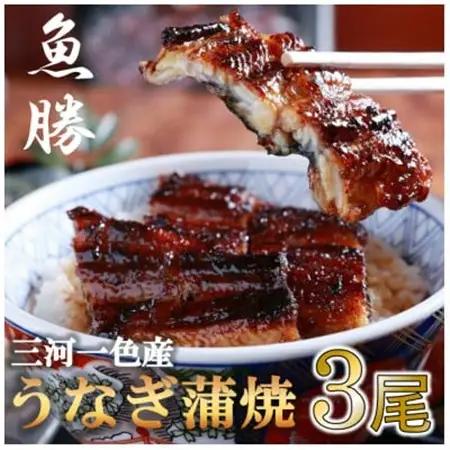 三河一色産うなぎ蒲焼　3尾〈計約480g〉_魚介・海産物 うなぎ  ウナギ 鰻_【配送不可地域：離島】【1532720】