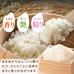 【数量限定】【令和7年産】水戸産コシヒカリ10kg 精米（NP-4)