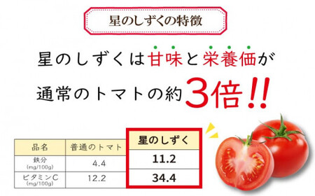 定期便 3回 フルーツトマト 500g 星のしずく 【 トマト 】