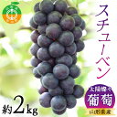 【ふるさと納税】 《2025年先行予約》 山形県産 太陽燦々★スチューベン 約2kg 葡萄 ぶどう フルーツ 果物 くだもの 山形県 中山町 F4A-0434