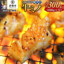 【ふるさと納税】大人気！たれ漬け牛ミノ（塩タレ）100g×3　計300g | 肉 お肉 にく 食品 滋賀県産 人気 おすすめ 送料無料