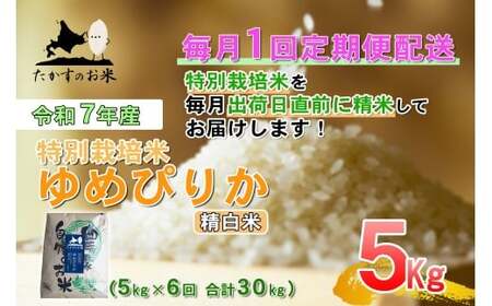 【6回定期便】 【令和7年産】 ゆめぴりか （精白米） 5kg×6回 合計30kg ｜ たかすのお米 米 コメ こめ ご飯  北海道 鷹栖町
