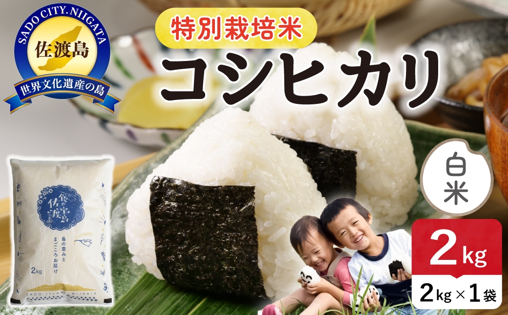 
                  佐渡島産コシヒカリ 白米2kg（2kg×1袋） 農薬・化学肥料5割減【食の宝島佐渡】
                