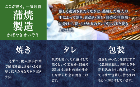 うなぎ蒲焼2尾(さんしょう・たれ付き)計300g以上 鰻 魚 魚介 加工品 九州産 国産_T026-001【人気 鰻 うなぎ ギフト 鰻 うなぎ 食品 鰻 うなぎ おかず 鰻 うなぎ  お土産 鰻 う