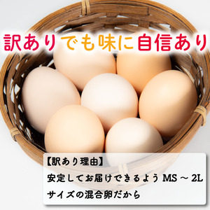 定期便 卵 30個 ( たまご 25個 + 割れ補償 5個 ) 3回 3ヶ月 定期便 国産 鶏 さくら 簡易包装 コクのある 濃い 風味 とれたて 生たまご 滋賀 地産地消 の 飼料米  産みたて 国