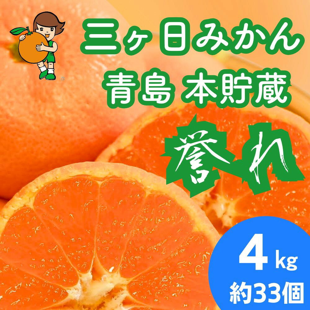 【ふるさと納税】三ヶ日みかん　本貯蔵青島みかん「誉れ」【2027年3月以降順次発送】 | 果物 フルーツ 蜜柑 ミカン 静岡産 名産 特産 名物 旬 食品 人気 おすすめ 送料無料