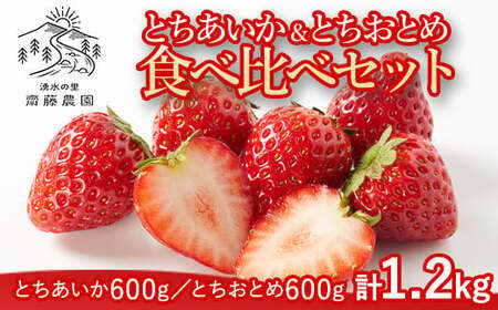 とちあいか600g＆とちおとめ600g 食べ比べセット 計1.2kg 風袋入り ｜ 人気 2品種 食べ比べ 手作り 厳選 農家 特産品 新鮮 フレッシュ ストロベリー 苺 塩谷町 ※2026年12月～発送