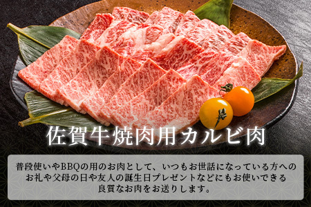 【最速！1週間以内発送！】佐賀牛 最上級Ａ５ランク カルビ焼き肉用400ｇ 牛肉 国産 佐賀県産 鹿島市 カルビ カルビ焼き肉用 BBQ ご褒美 最速 送料無料 年内発送の受付【12月25日迄】年明け