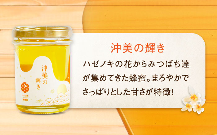 江田島産100％ はちみつ 2種食べ比べセット（120g×3本） ハチミツ 蜂蜜 国産 広島 江田島