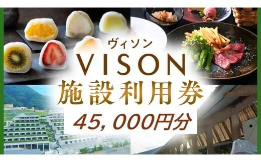 日本最大級の商業リゾート VISON 施設利用券 45,000円分  VT-102