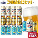 【ふるさと納税】オリオンビール　3種類詰め合わせセット　オリオン orion オリオンビール お酒 ドラフト 麦職人 サザンスター 沖縄ビール ビール 地ビール 沖縄 ふるさと納税