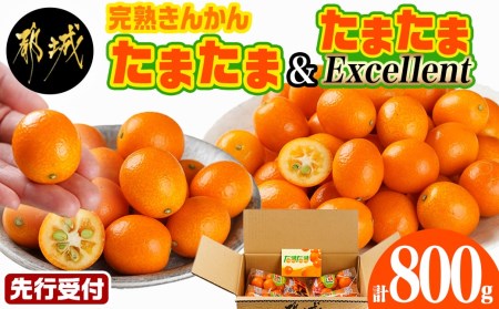 《先行受付!》 完熟きんかん「たまたまL」&「たまたまExcellent」 計800g (スタンドパック入り)_AO-0103_(都城市) みやざきブランド 完熟きんかん  たまたま 糖度16度以上 大きさ直径2.8cm以上 金柑たまたまの最高峰 エクセレント 糖度18度以上 サイズ2L以上