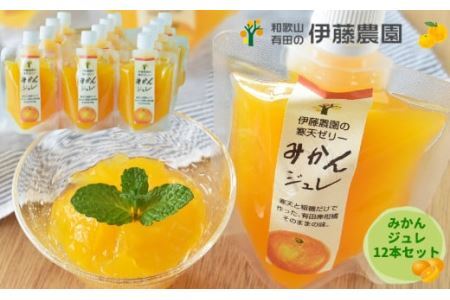 523. 伊藤農園 ピュアフルーツ寒天ジュレ ドリンクタイプ　温州みかん12本セット(B523-3)