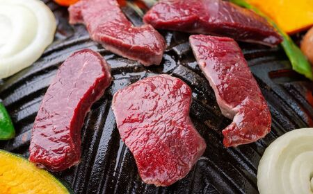 【お試し用】【ヘルシー】【先行予約/９月中旬以降順次発送】平取町産エゾシカ肉ジンギスカン ロース味付き500g BRTS001