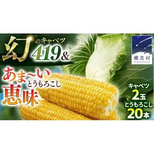 ＜ 8月上旬 発送開始 ＞ 朝採り野菜 人気2種セット まぼろしの419キャベツ 2玉 と 甘～いトウモロコシ 恵味 20本