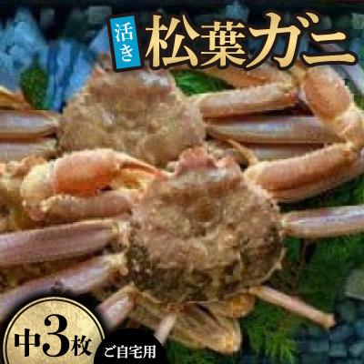 ふるさと納税 智頭町 【先行予約】【活き】ご自宅用　松葉ガニ　中　3枚(1枚500〜640g前後)※11月中旬から順次発送
