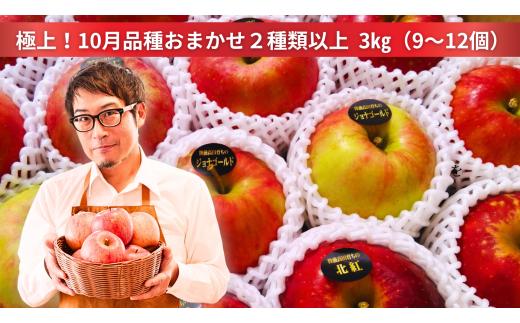 米崎りんご ぎゅっとセット 3kg 品種おまかせ 2種類以上お届け 【 リンゴ 旬 お届け 岩手 陸前高田 】 RT2058