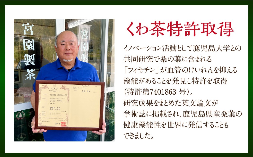 宮園製茶の2種お試しセット （有機桑茶・有機いむた茶 各1袋）お茶 桑茶 ティーバッグ ZS-551