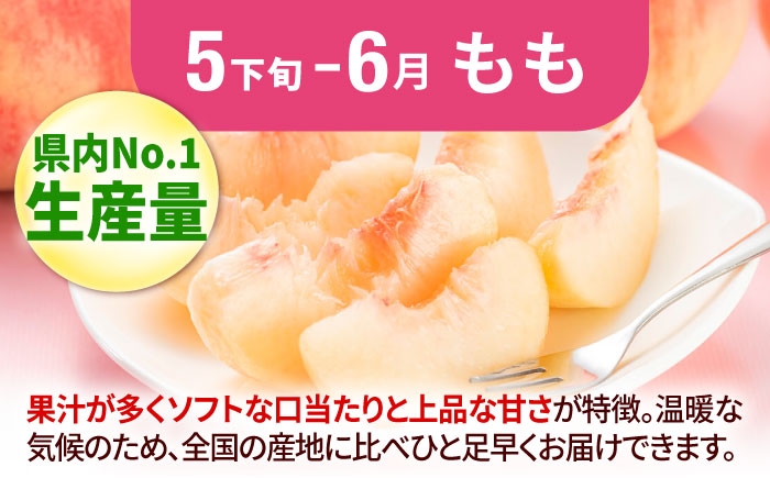 フルーツ 果物 くだもの もも ぶどう シャインマスカット 定期便 旬
