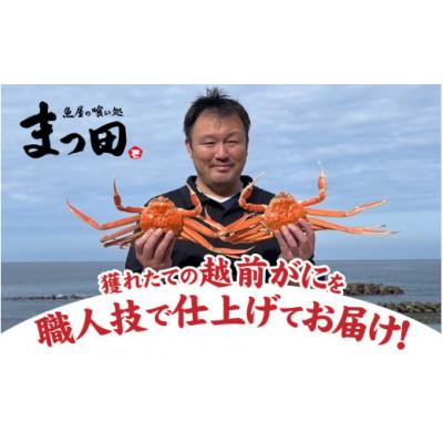 ふるさと納税 福井市 まっ田の越前がに 1.1kg×1杯【11月〜3月配送】 |  | 01