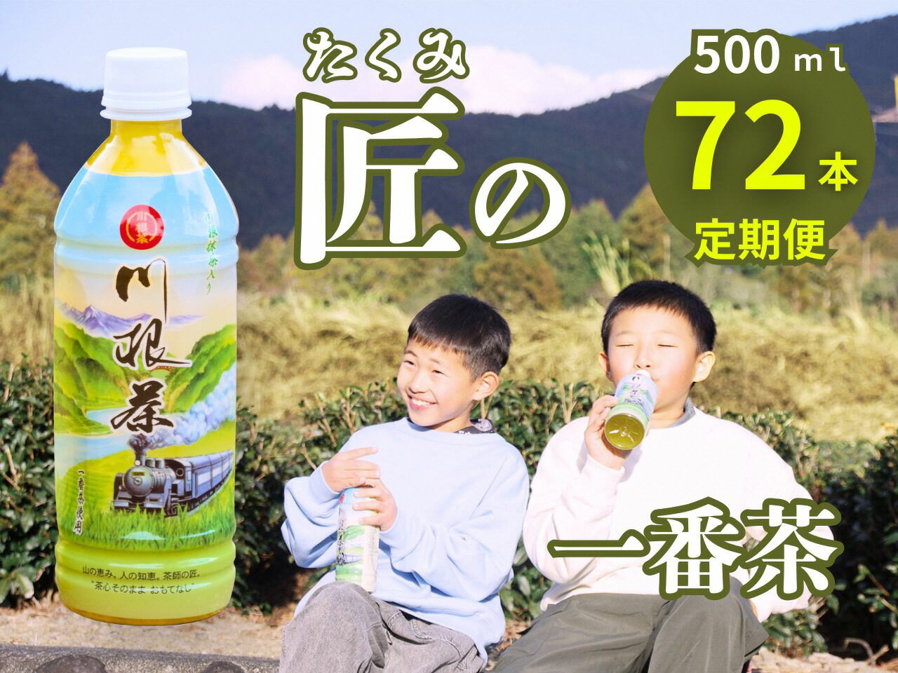 【ふるさと納税】【定期便】匠厳選！高級一番茶「川根茶」ペットボトル　3ケース