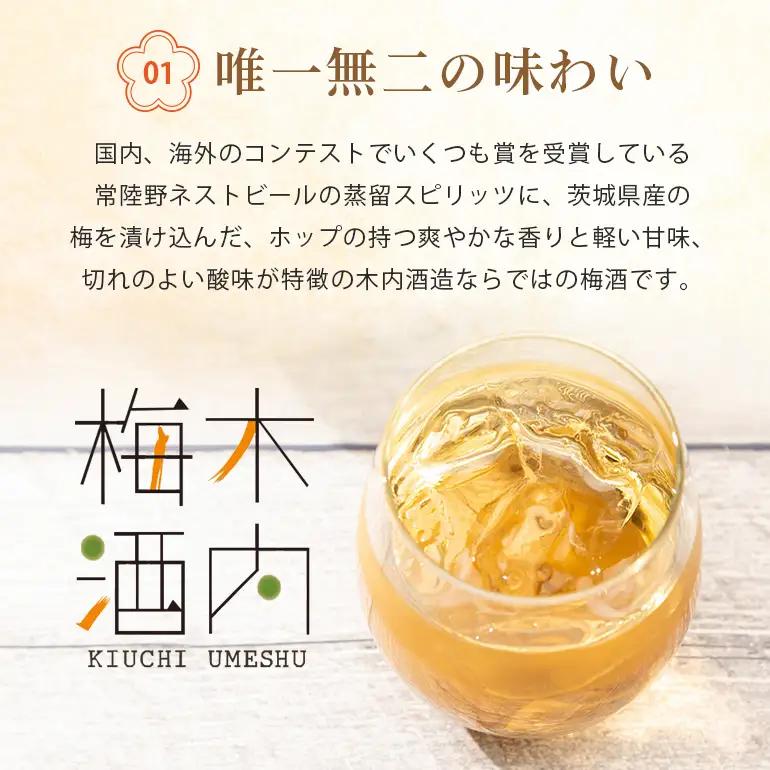 梅酒 木内梅酒 3本セット 500ml×3本 果実酒 ウメ 人気 お土産 ギフト フルーティー 内祝い ご褒美 国産 紀州南高梅使用 お歳暮 お歳暮ギフト プレゼント お中元 敬老の日 うめ酒 梅酒 