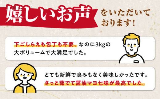 剣先いか の耳 3kg 《対馬市》【対馬地域商社】 シロイカ 新鮮 肉厚 海鮮 BBQ 天ぷら 魚介 おかず いか [WAC045]小分け 冷凍 九州 長崎 イカ ゲソ バーベキュー 海鮮物 アカイカ