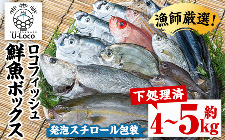 【B78001】漁師厳選！ロコフィッシュ(地魚) 下処理済 鮮魚 ボックス(約4～5kg)【発泡スチロール包装】 地魚 魚 お魚 冷蔵 生もの 加工品 未利用魚 低利用魚 焼き魚 焼魚 刺し身 刺身 煮魚 届くまでのお楽しみ 鮮魚セット 鮮魚ボックス 鮮魚BOX 【昌徳丸】
