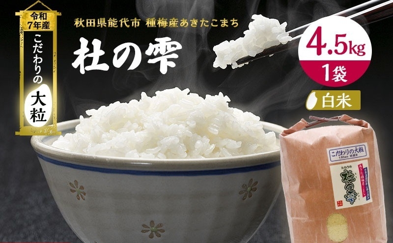 
                  新米 先行予約 令和8年産【白米】秋田県産 あきたこまち 5kg「杜の雫」こだわりの大粒 種梅産【 お米 たねうめ 白米 精米 ご飯 ブランド米 大粒 おにぎり 産地直送 おこめ ごはん 】
                